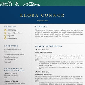 Google Docs, Pages, Word Resume Template, Professional Resume template, Modern CV template, Google docs Resume Template, Modern CV Template