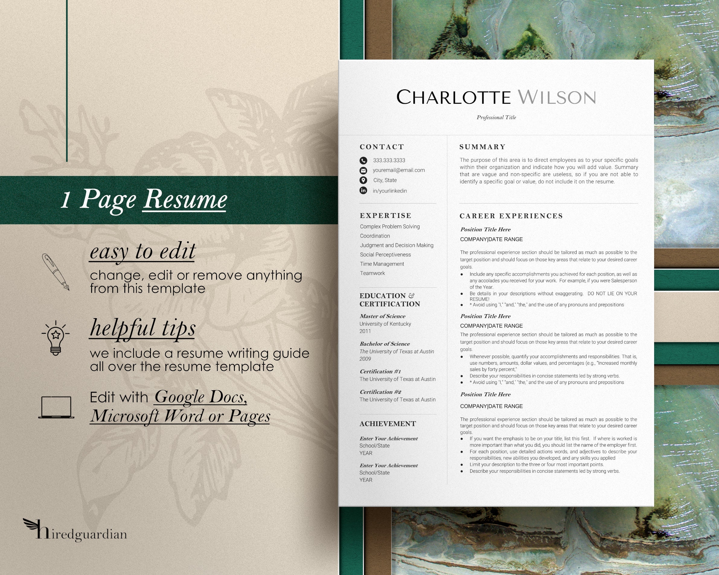 Clean, Executive Resume Template 2026, Modern CEO Resume Template for ...