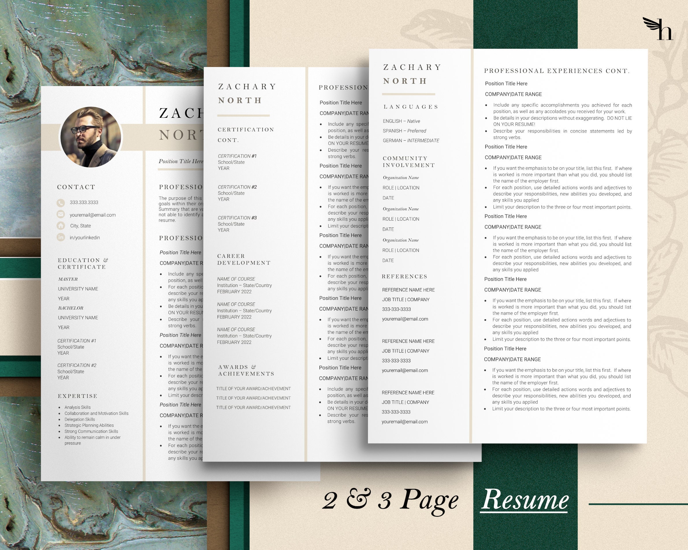 Executive Resume Template 2025, Modern CEO Resume Template for Word and ...