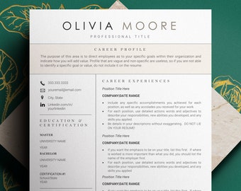 Professional CV Resume Template, Resume and Cover Letter Template, Software Developer Resume, CV template, College Student Resume