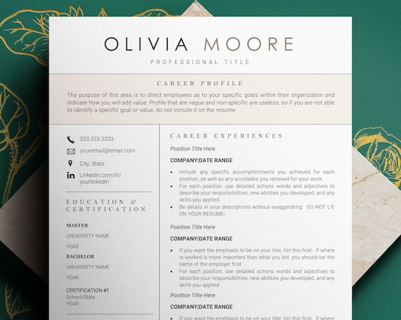 Professional CV Resume Template, Resume and Cover letter Template, Software Developer Resume, lebenslauf vorlage, College Student Resume