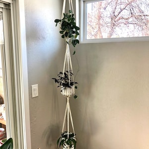May include: Three potted plants hanging from a macrame plant hanger. The hanger is made of white cord and has a tassel at the bottom. The plants are in white pots and are hanging in a corner of a room.