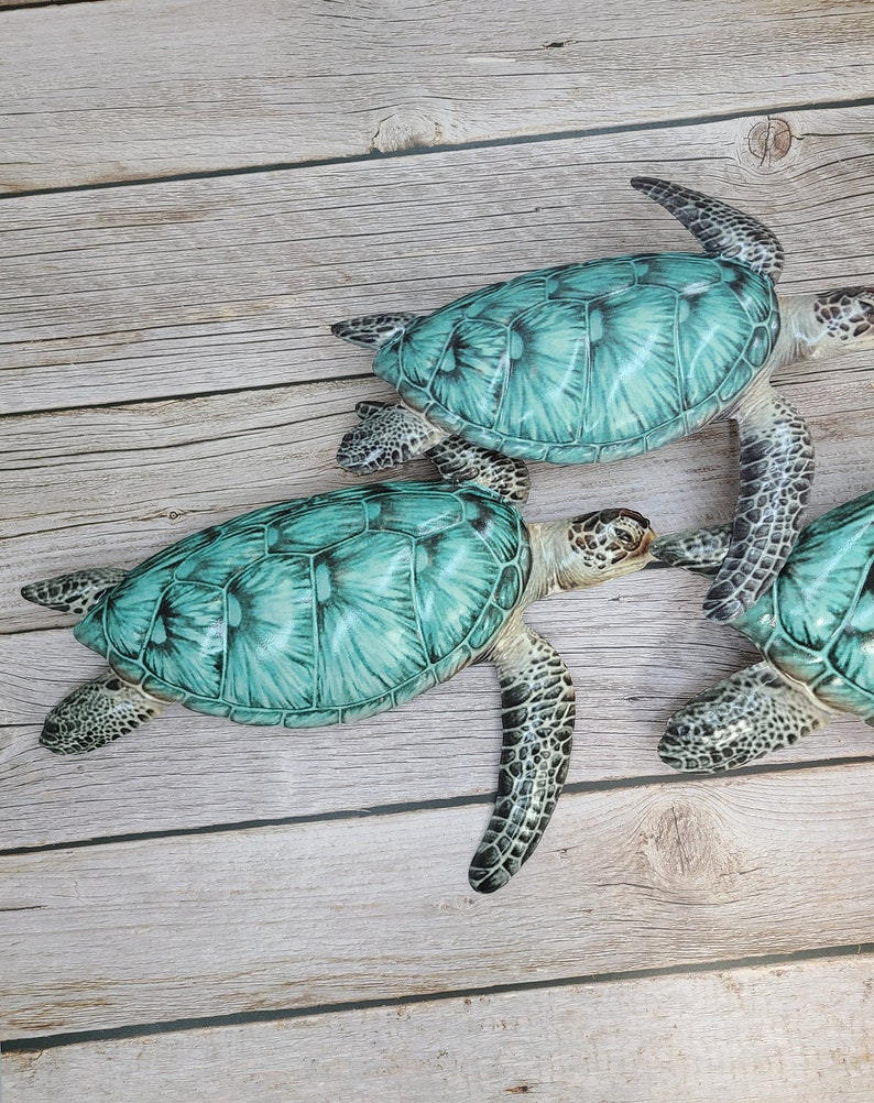 Sea Turtle Wall Art Turtle Wall Art Turtle Decor Sea Turtle Etsy