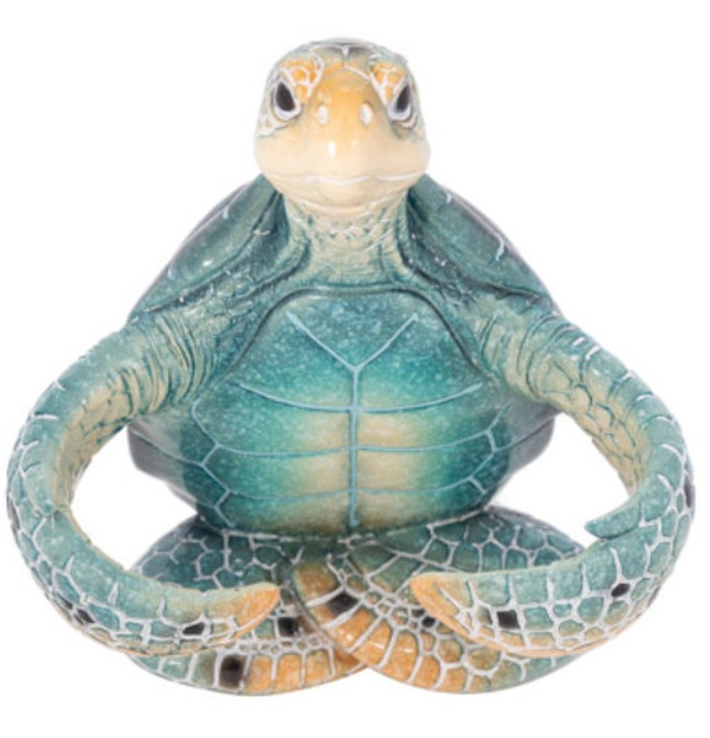 Turtle Salt and Pepper Shakers, Turtle Kitchen Decor, Turtle Salt and Pepper Holders, Turtle Salt and Pepper Set image 4