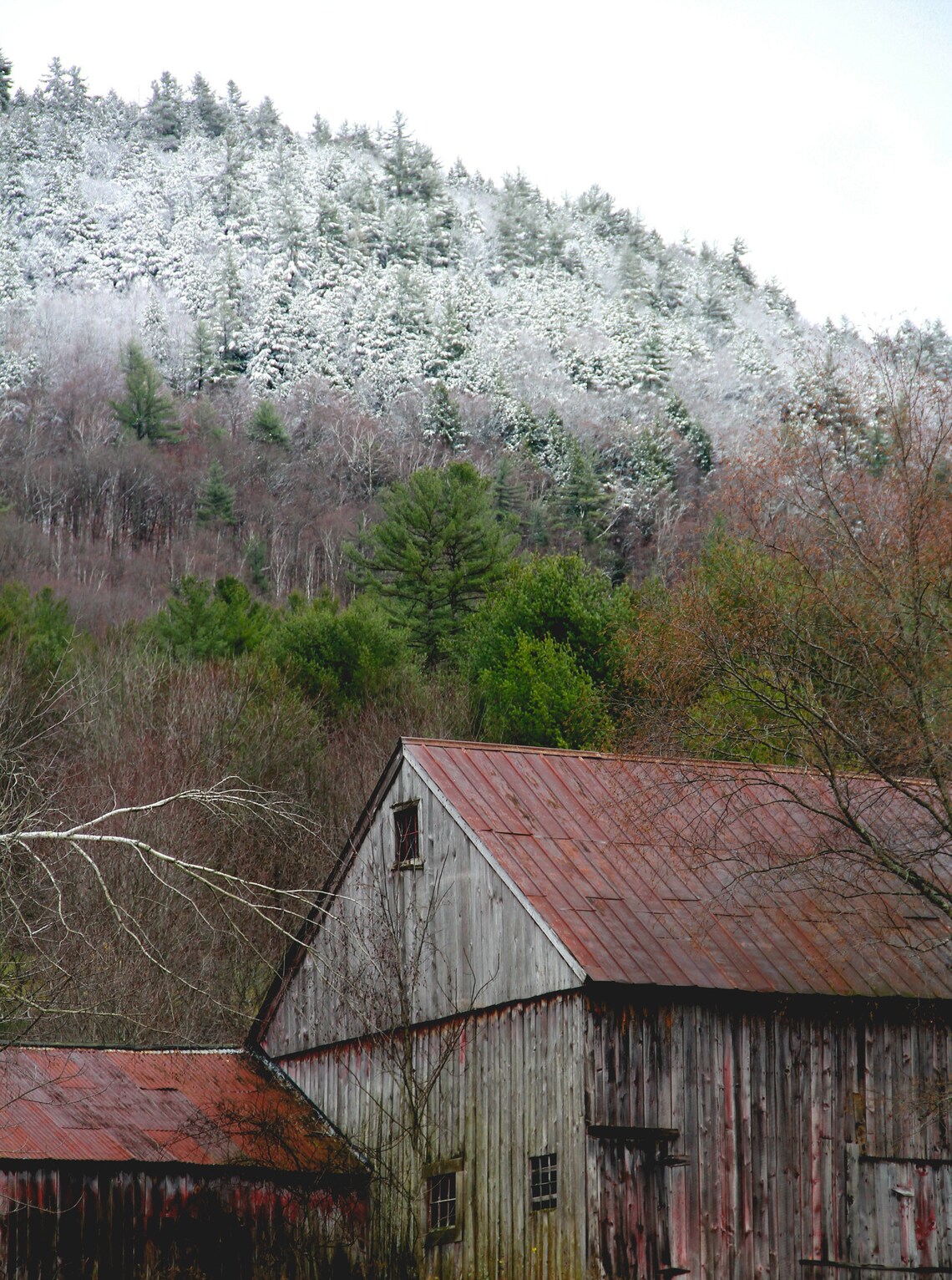 November in Vermont Print Etsy