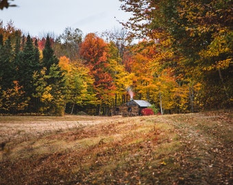 Hunting Camp Print