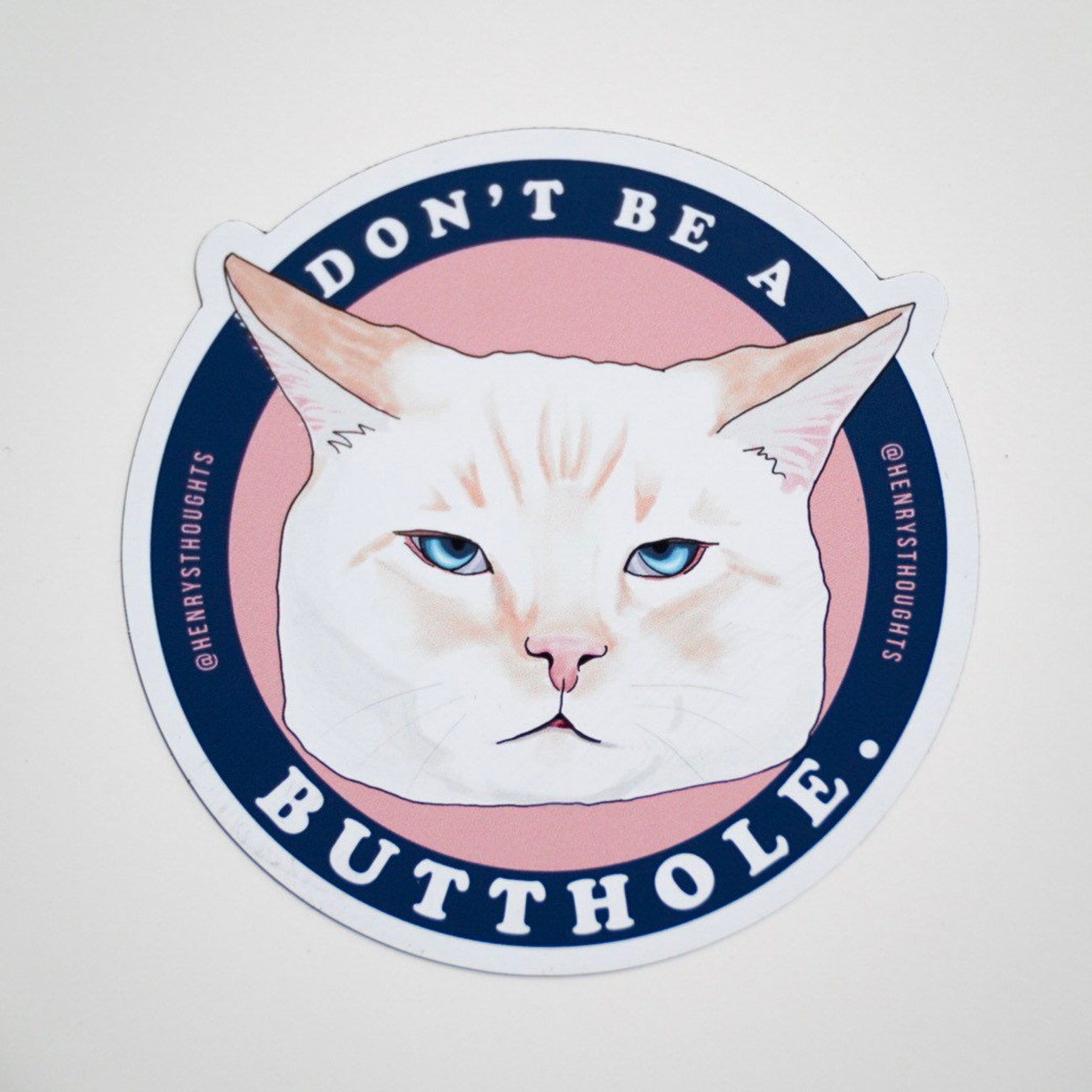 Dont Be A Butthole Cat Magnet | Etsy
