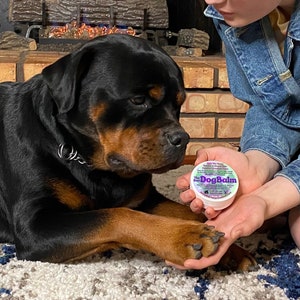 Best Dog Balm | Interdigital Cyst Relief | Soothing Paw Salve | Hot-Spot Help | Puppy-Safe Pet Care | Hemp-powered Ointment