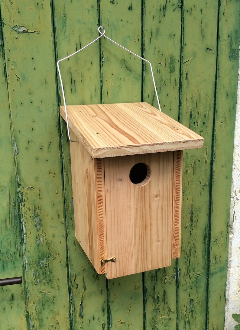 Puede incluir: Una casita de p&aacute;jaros de madera con un peque&ntilde;o agujero de entrada redondo, fijada a una pared de madera verde con un colgador de alambre. La casita de p&aacute;jaros tiene una puerta con bisagras en la parte delantera.