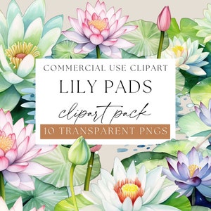 Pacote de clipart de almofadas de lírio, clipart de nenúfar, almofadas de lírio em aquarela, clipart de aquarela, PNGs de almofada de lírio, floral de lótus e almofada de lírio, WPC-F13