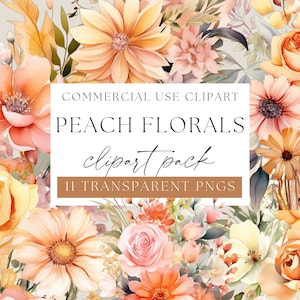 Pfirsich Blumen Clipart-Pack, Aquarell Floral, Aquarell Pfirsich Floral, Blush Blumen PNGs, Frühlings Clipart-Pack, Pfirsich Blume PNGs, WPC-F14