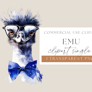 Émeu portant des lunettes, émeu aquarelle, clipart oiseau émeu, aquarelle clipart, clipart autruche, téléchargement numérique, usage commercial, WPCS-A18