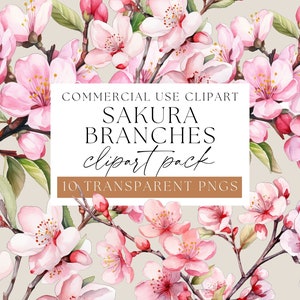 Sakura Zweige, Sakura Clip Art, Aquarell Sakura, Kirschblütenbaum, Frühling Clipart, Sakura PNGs, rosa Blumen, Frühlingsblumen, WPC-F15