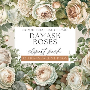 Damask Roses Clipart Pack, White Floral Pack, Transparent PNGs, Cream Roses Clip art, Watercolor Florals