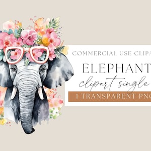 Elefante con gafas Png, Baby Shower Clipart, Acuarela Clipart, Elefante Clip Art, Lindo Elefante Png, Lindo Animal Clipart, WPCS-A50