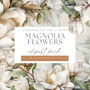 Magnolia Flower Clipart Pack, White Floral Pack, transparente PNGs, Magnolia Flowers Clip art, Aquarell Florals