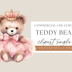 Cute Teddy Bear, Teddy Bear in a Tutu, Ballerina Clipart, Teddy Bear Clip Art, Boho Teddy Bear, Teddy Bear Png, Ballerina Bear Png, WPCS-N22