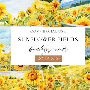 Sunflowers Field Digital Backdrop, Flower Summer, Sunflower Field, Yellow floral background, Instant Download, commercial use jpegs, WPC-T60