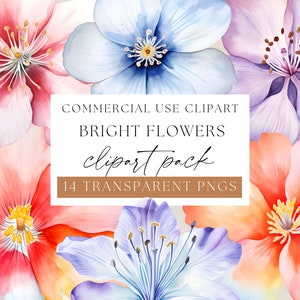 Bright Floral Botanical Clipart, Transparent PNGs, Colorful flower Clip art, Watercolor Floral, Colorful Summer Wild Flowers WPC-F01