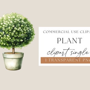 Topiary Pflanze in einem Topf Aquarell Clipart, grüne Hecke Pflanze Formschnitt Aquarell Clipart Bild, transparent png, Baum im Topf, WPCS-F60