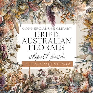 Clipart de flores nativas australianas secas, flores de protea, PNGs transparentes, clipart de flora australiana, florais em aquarela tropicais