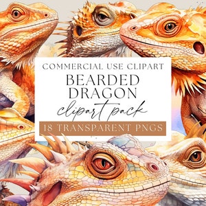 Bearded Dragon Clipart, Lizard clip art, exotic pet images, beardies, australian wildlife, WPC-A08