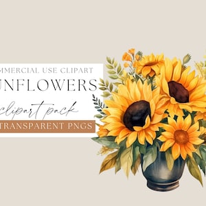 Watercolor Sunflower clipart, Transparent PNGs, flower Clip art, Watercolor Florals, Sunflower PNG&#39;s, Wedding Flowers, Autumn Florals