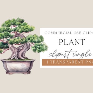 Digital Download, Bonsai Plant, Bonsai Png, Watercolour Bonsai, Watercolor Clipart, Bonsai Clip Art, Bonsai Tree Png, Lead Magnet, WPCS-F67