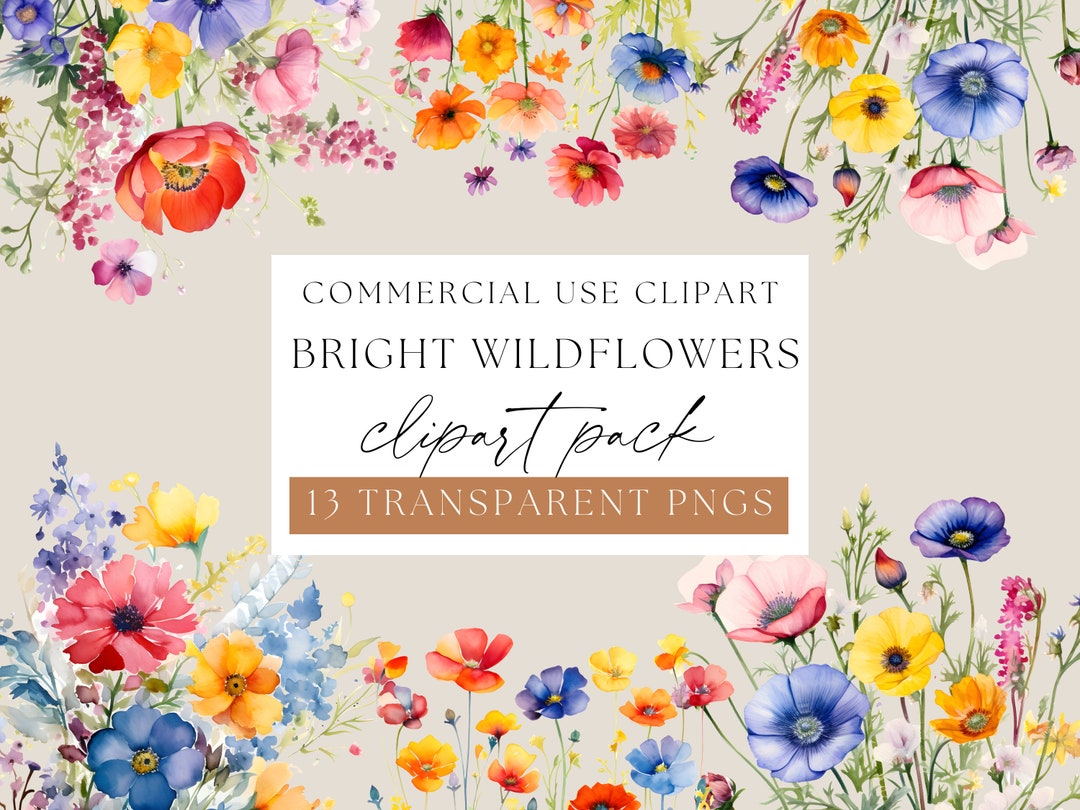 Bright Wildflowers Clipart, Garden Summer Clipart, Spring Summer ...