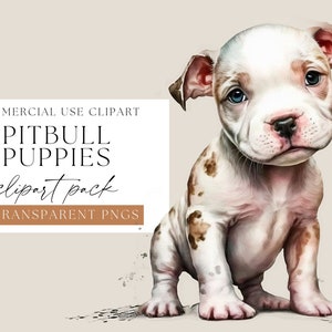 Pitbull chiots aquarelle clipart, clipart PNG transparent pour chien de compagnie, art amoureux des chiens, images de chiot à utiliser dans vos créations, licence commerciale