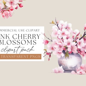 Cherry Blossoms Floral Clipart, Watercolor Cherry Blossoms, Transparent png, Spring flower Clip art, Pink Watercolour floral arrangements
