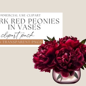 Dunkelrote Pfingstrosen in Vasen Clipart, transparente PNGs, Blumen in Vasen Clip art, Aquarell Blumen, Muttertagsblumen