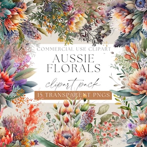 Clipart de fleurs indigènes australiennes, fleurs de Protea, PNG transparents, Aussie Flora Clip art, aquarelle florale, fleurs de mariage tropicales