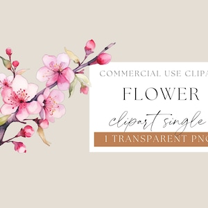 Sakura Branch Png, Cherry Blossom Png, Aquarela Clipart, Aquarela Sakura, Sakura Clip Art, Sakura Branches, Download Digital, WPCS-F63