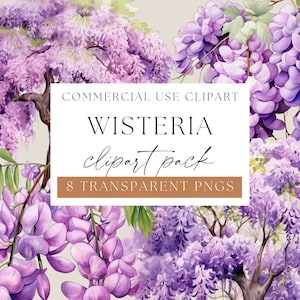 Wisteria Clipart Pack, Watercolour Wisteria, Wisteria Clip Art, Wisteria Flowers Png, Watercolor Wisteria Floral, Purple Floral Png, WPC-F19