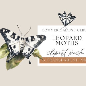 Leopard Motten Aquarell Clipart, schwarzweiße Motte, transparente png, hübsche Insekten, Sommer Clipart, kommerzielle Nutzung