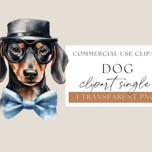 Lustige Dackel Clipart, Aquarell Hund Clip Art, Weiner Hund png, schrullige Dackel Clipart Bild, Hund Sublimation Clipart, WPCS-A79
