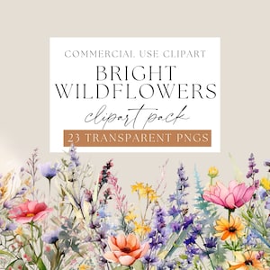 Bright Wild Floral Clipart, Watercolor Wildflowers, Transparent png, Spring flower Clip art, wispy floral arrangements