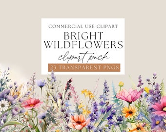 Bright Wild Floral Clipart, Watercolor Wildflowers, Transparent png, Spring flower Clip art, wispy floral arrangements