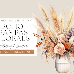 Boho Rustic Florals in Vases Clipart Pack, Terracotta Florals Pack, PNG trasparenti, ClipArt di fiori secchi, Acquerello floreale, Boho Pampa