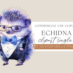 Echidna Clipart, Echidna Wearing Glasses, Watercolour Aussie Animal, Watercolor Australian Animal, Fun Image, Quirky Clipart, WPCS-A49