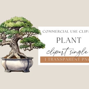 Bonsai Printable, Bonsai Illustration, Bonsai Png, Watercolour Bonsai, Watercolor Clipart, Bonsai Clip Art, Bonsai Plant, Bonsai, WPCS-F66