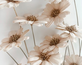 Sola Margaret Flowers Blush  (Per Pack of 3 Stems) Preserved Flowers | DIY Home Decor/Weddings/Events | Boho/Coastal Decor