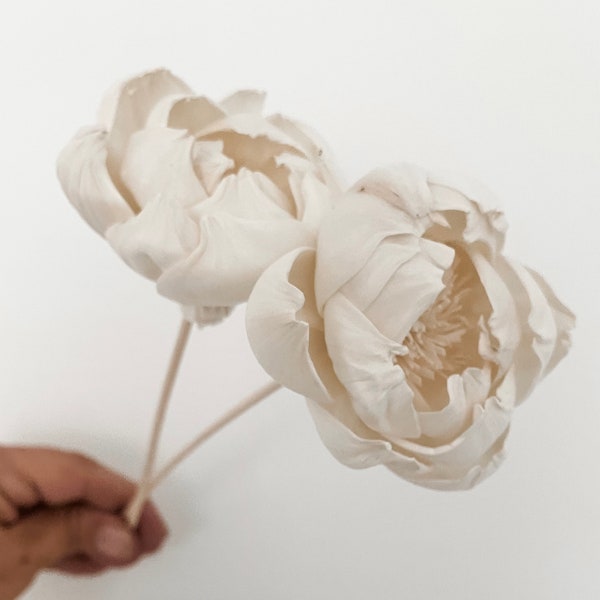 Sola Flower, Peony White (2 Stems a Pack) | DIY Preserved Wedding Bouquet, Wedding Decor | DIY Centrepiece/Table Decor/Arrangement