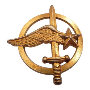 France / french air commando beret badge