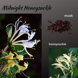 Incense Sticks, 11 Hand-dipped Midnight Honeysuckle