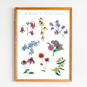 North Carolina Wildflower Art Print, Colorful Watercolor Flower Wall Art, 8"x10", Gallery Wall Home Decor, North Carolina Floral Print