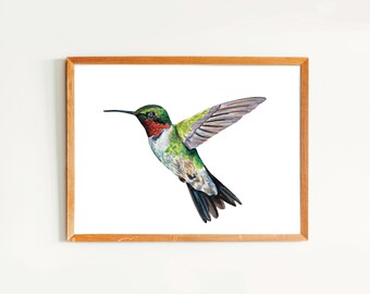 Stampa artistica di un colibrì ad acquerello, decorazione vivace per la casa, arte murale per amanti della natura, dipinto di un colibrì gola rubino, arte murale con uccelli colorati