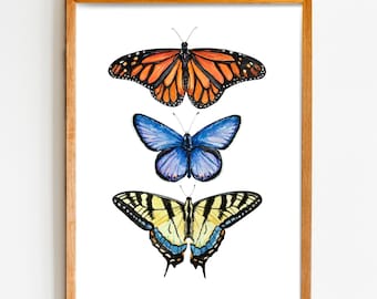 Lámina artística de tres mariposas, bonita decoración para el hogar, mariposa monarca, mariposa cola de golondrina tigre