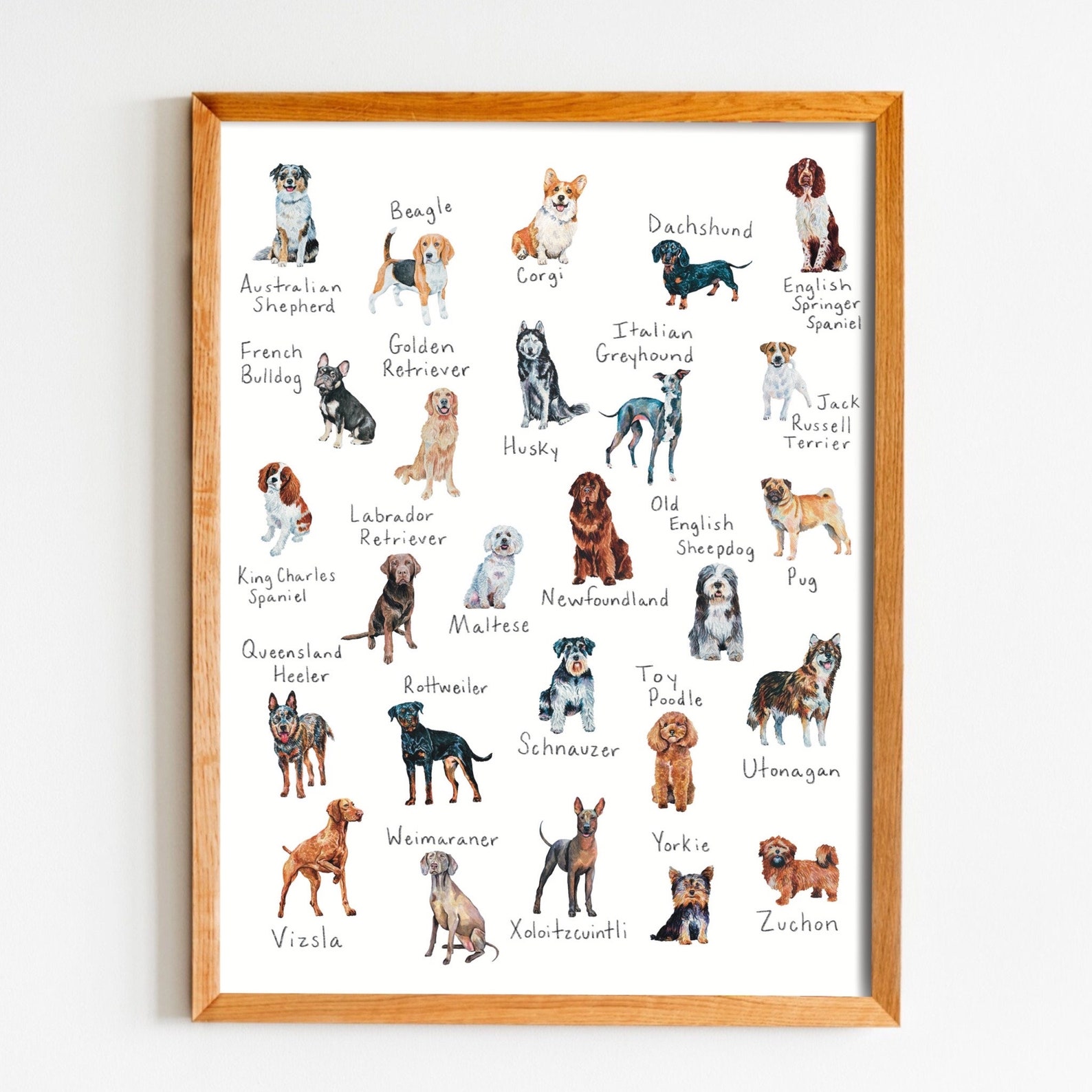 Print Az Alphabet Dog Breed Print, A-Z Dog Print, Dog Breed Poster, 8.5” X 11 ...